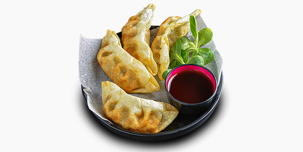 Chicken Gyoza